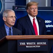 Anthony Fauci och Donald Trump under en presskonferens i början av pandemin 2020.
