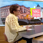 Birgitta Ohlsson i TV4:s Nyhetsmorgon.