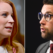 Annie Lööf (C) och Jimmie Åkesson (SD). 