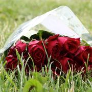 Blommor vid flygplatsen i Örebro. 
