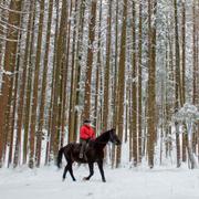 Arkivbild: En kvinna rider i skogen i delstaten Salzburg i Österrike.