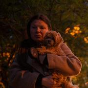 En kvinna med en hund går på gatan i Kyiv efter en rysk attack. 
