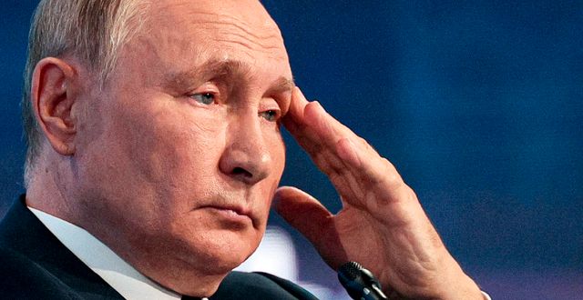 Vladimir Putin. Vladimir Smirnov / AP