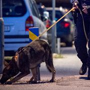 Illustrationsbild.