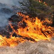 Arkivbild: Gräsbrand