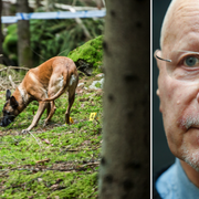 Teknisk undersökning av brottsplatsen i Olofström/Alhem, arkivbild.