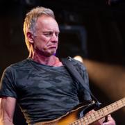 Arkivbild. Sting.