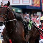 Bold Eagle under förra årets Elitlopp