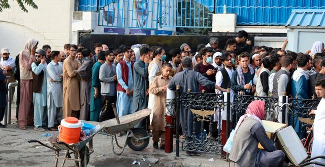 Kö utanför bankomat i Kabul Khwaja Tawfiq Sediqi / TT NYHETSBYRÅN