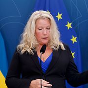Utredare Pia Clerté under dagens pressträff med anledning av att regeringen tillsätter en utredning om hur tillgången till civila skjutbanor kan öka.