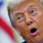 President Donald Trump