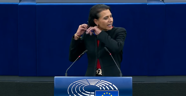 EU-parlamentet/Skärmdump Youtube