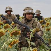 Ukrainska soldater. 