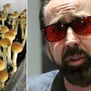 ”Magic mushrooms”/Nicolas Cage. 