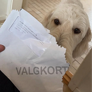 Mattias Tesfaye och Mango.