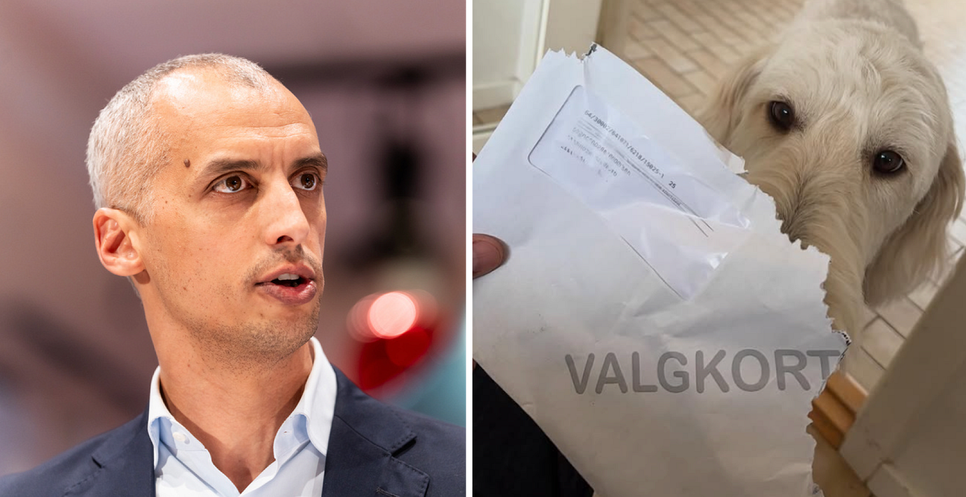 Mattias Tesfaye och Mango.