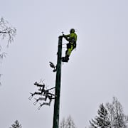 Bild från Ockelbo i Gävleborgs län. 