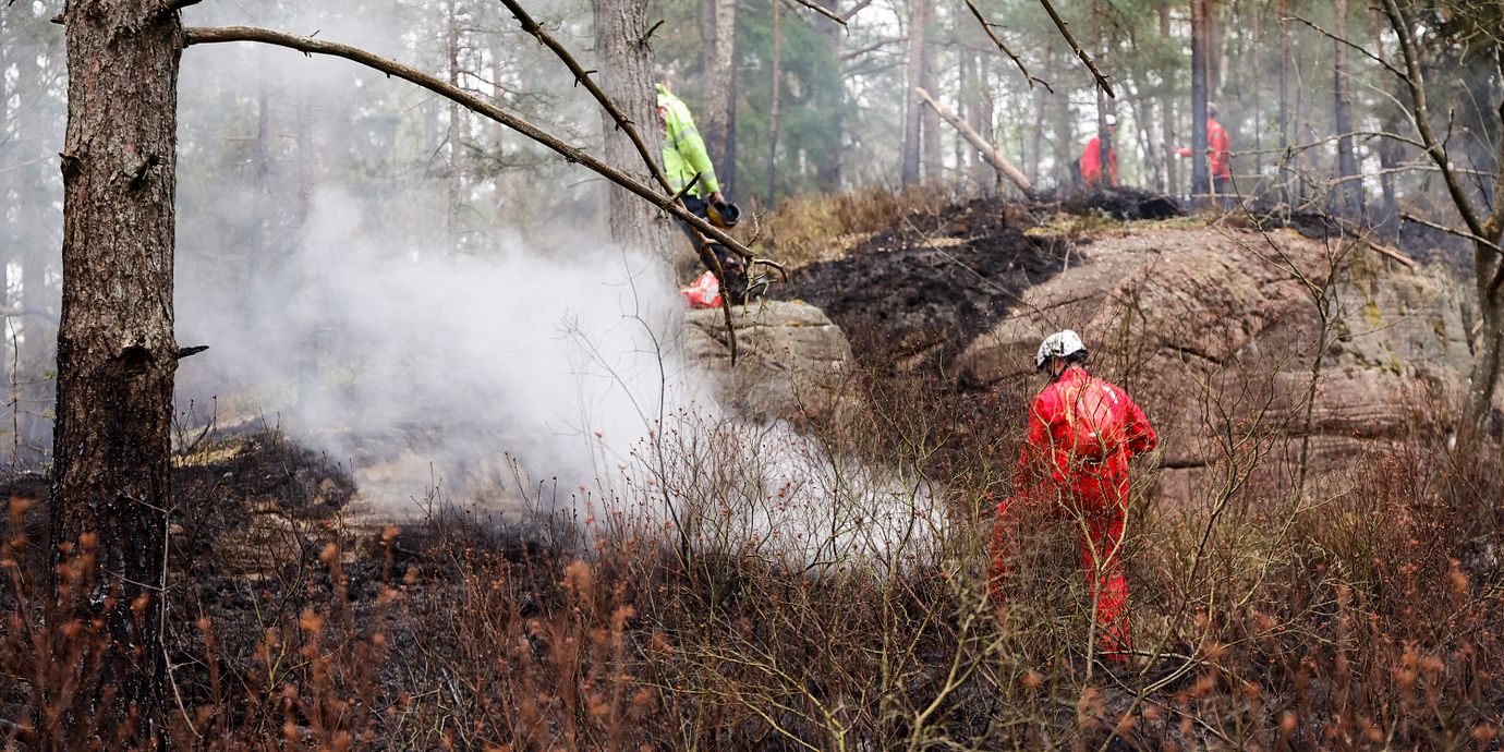 Arkivbild av en skogsbrand i Göteborgsområdet i maj.