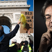 Protester i Paris/Alain Finkielkraut