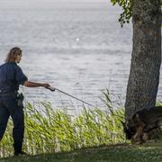 Hundförare undersöker området där kvinnan hittades död tidigare i veckan.