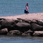 Martha’s Vineyard skulle i år fira att det var 50 år sedan ”Hajen” spelades in på ön. I stället för hajar har fästingar blivit den nya skräcken i det lyxiga sommarparadiset, rapporterar The New York Times. 