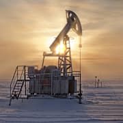 Illustrationsbild. Shutterstock