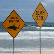 North Steyne Beach i Sydney håller stängt under tisdagen efter hajattackerna.