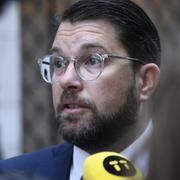 Sverigedemokraternas partiledare Jimmie Åkesson (SD) tidigare i år. 