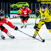 Kanadas Dylan Demelo och Tre Kronors Mattias Ekholm.