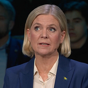 Skärmdump ur sändningen.