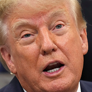 Donald Trump. Grönland.