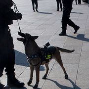 Arkivbild. Kinesisk polis. 