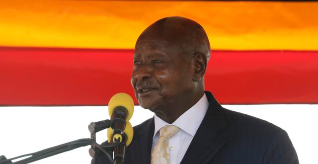 Ugandas president Yoweri Museveni. Arkivbild. Hajarah Nalwadda / AP