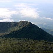 Kongolesisk nationalpark, Trump.