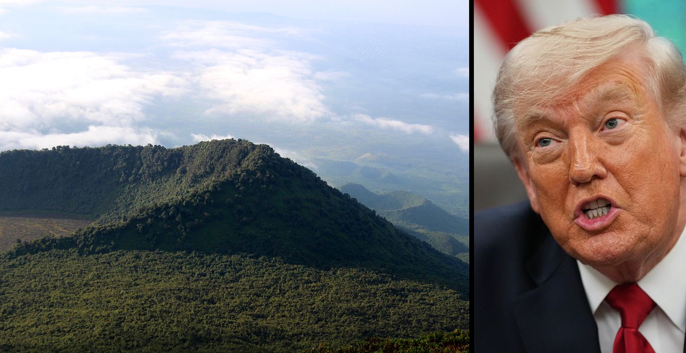 Kongolesisk nationalpark, Trump.