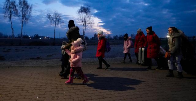 Ukrainska flyktingar anländer till Polen, 27 februari, 2022.  Petr David Josek / AP