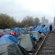 Migrantläger i Calais i norra Frankrike.