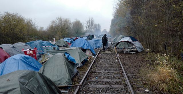 Migrantläger i Calais i norra Frankrike. Rafael Yaghobzadeh / TT NYHETSBYRÅN