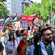 En demonstration för Gaza arrangerad av Palestinska Arbetsgruppen i Stockholm går genom Stockholm på lördagen.