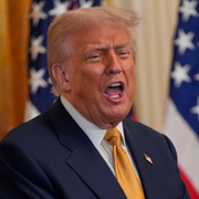 Trump/Hogan.