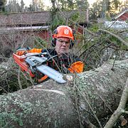 Arkivbild från stormen Alfrida 2019.