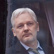 Februari 2016. Julian Assange syns genom fönstret på Ecuadors ambassad.