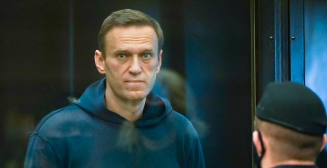 Aleksej Navalnyj. TT NYHETSBYRÅN