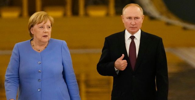 Merkel och Putin. Alexander Zemlianichenko / AP