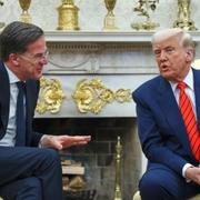 Natos generalsekreterare Mark Rutte i möte med Donald Trump i mars.