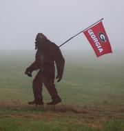 Illustrationsbild av pappversion av den mytomspunna varelsen Bigfoot, vars existens aldrig kunnat bevisas. 