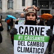 Demonstranter samlas i samband med klimattoppmötet i Madrid. 