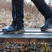 Våtmark i Orlångens naturreservat i Huddinge.