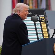 Trump och handelsminister Lutnick med ”ömsesidiga” tullarna i april i år.