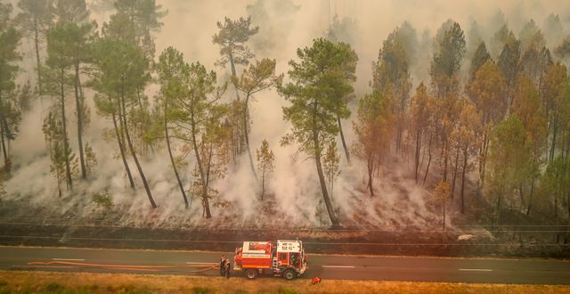 Räddningstjänsten bekämpar branden i Frankrike. AP